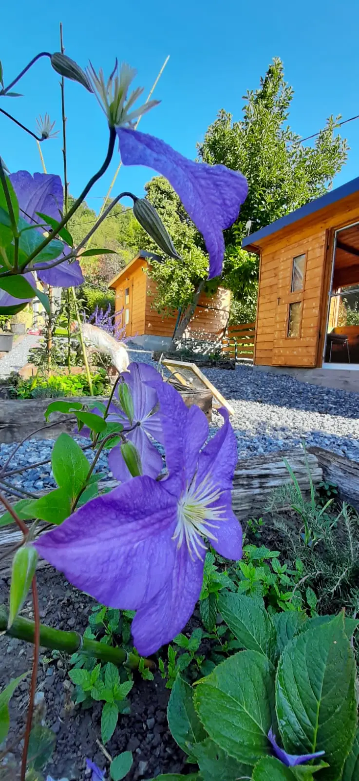 Api inhalacijska kućica u prirodi Strahinjčice