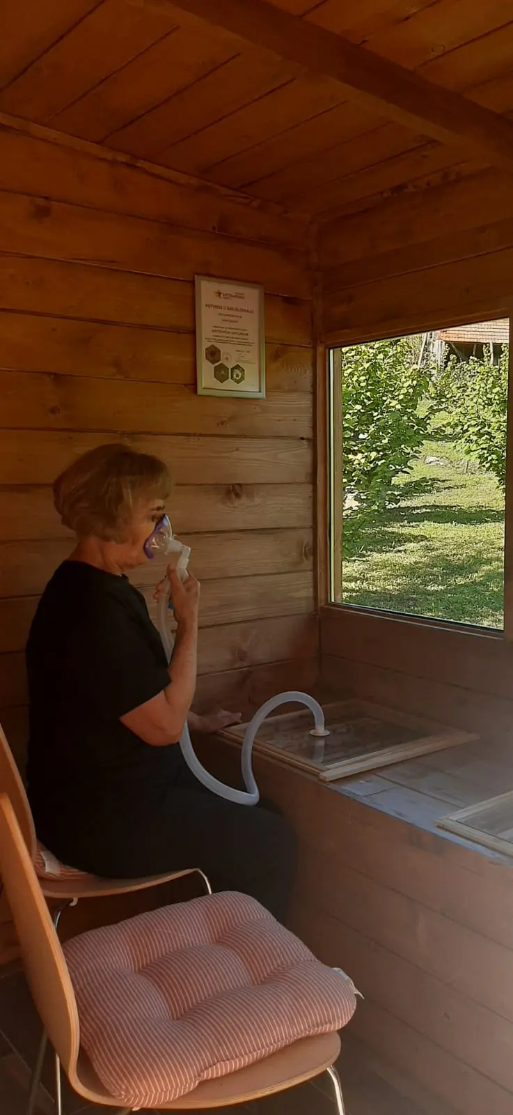 Opuštajuće okruženje pčelinjaka u parku prirode