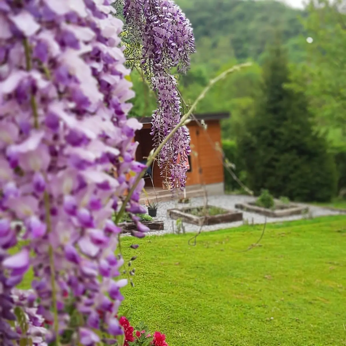 Detalj s pčelinjaka – pčelinji proizvodi